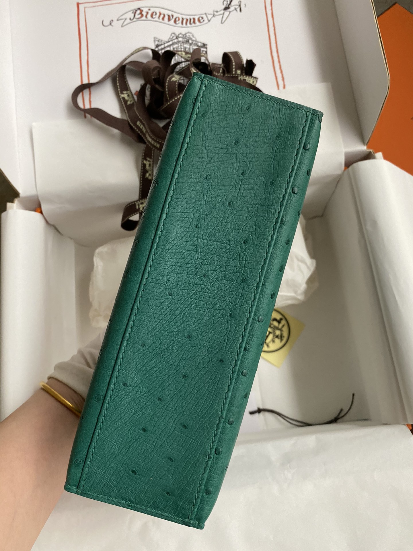 Hermes Mini Kelly Pochette 22cm Bag In Vert Vertigo Ostrich Leather